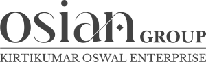 developer Logo